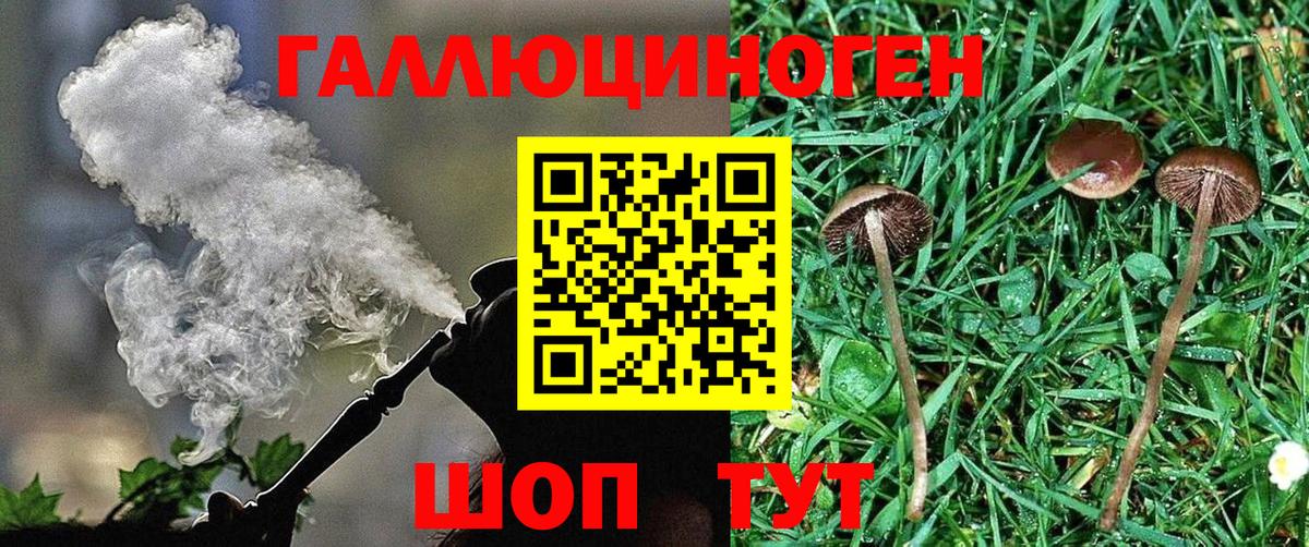 Коммунар  Галлюциногенные грибы GOLDEN TEACHER  Вход с VPN 